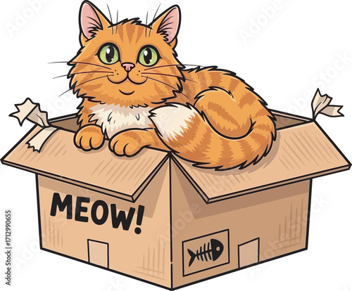 cute brown cat 