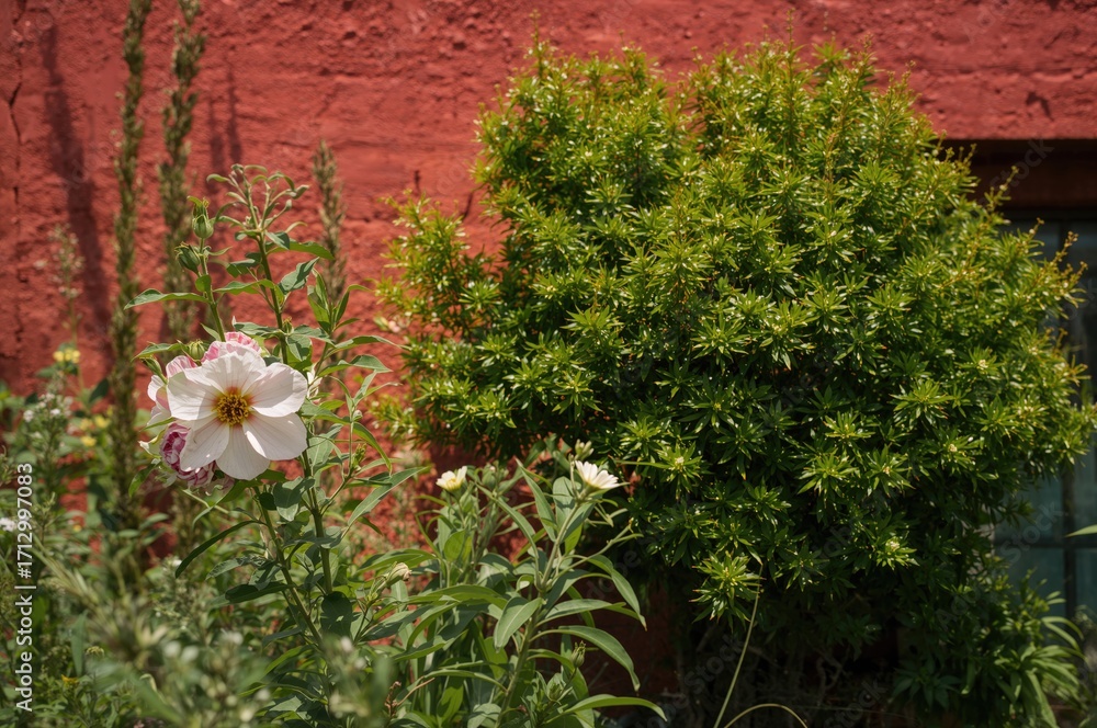 Fototapeta premium Beautiful colorful spring blossoms