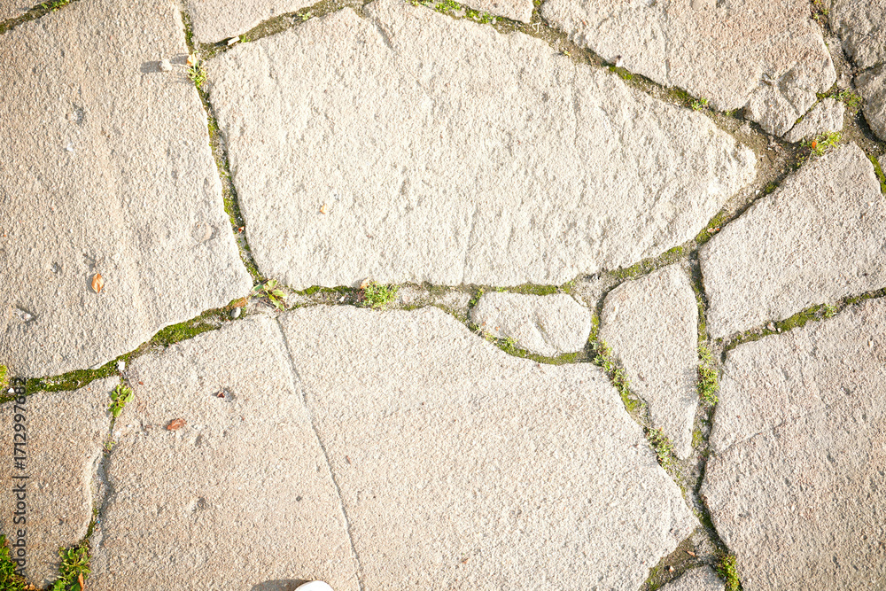 Obraz premium Sunlit stone pavement with moss