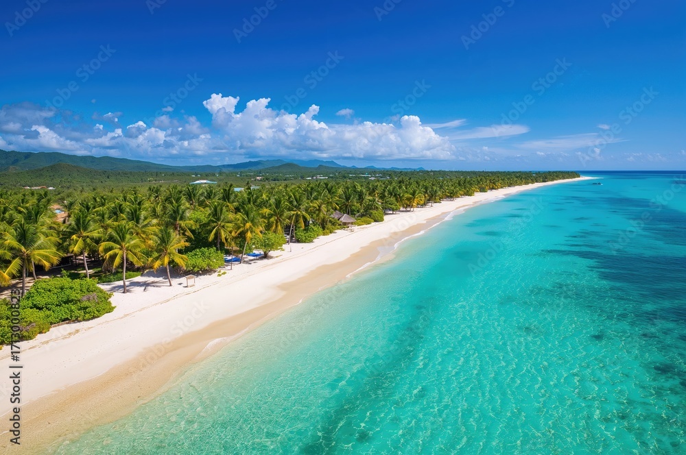 Obraz premium Aerial view of a pristine tropical shoreline adorned with coconut palms and abundant nature.