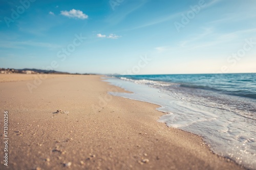 Fototapeta Naklejka Na Ścianę i Meble -  Deserted sandy shore along a tranquil sea. Summer scene with ample space for text. Focused detail on sand grains.