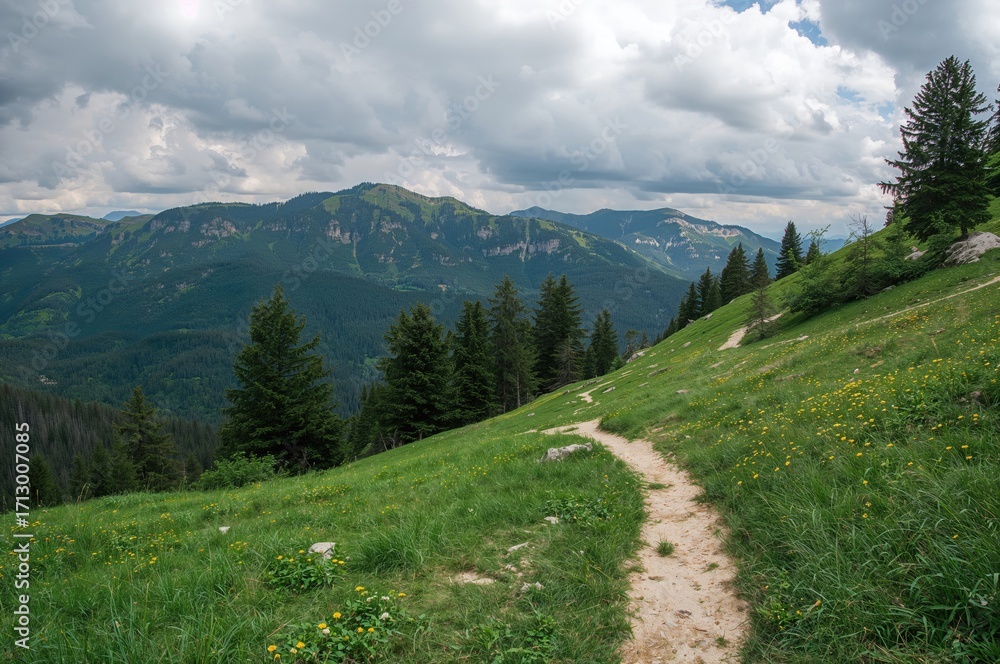 Fototapeta premium Scenic mountain path surrounded by lush trees and rolling hills under a cloudy sky