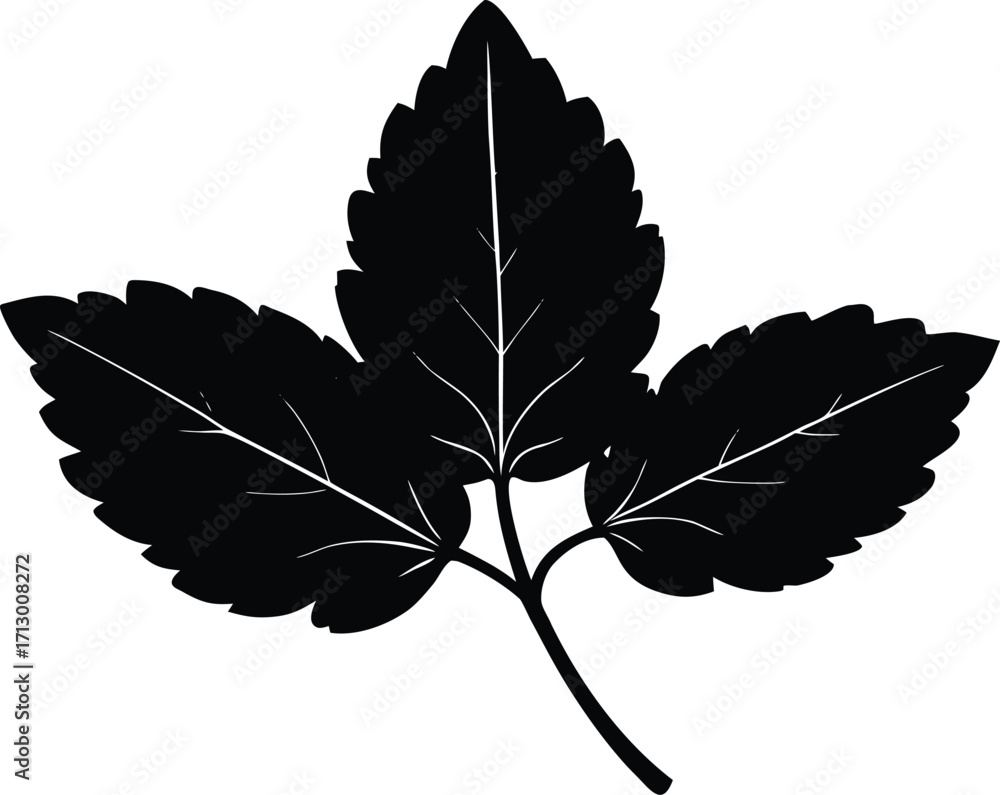 Fototapeta premium Marjoram Leaf Silhouette Illustration | Marjoram Herb Vector Artwork