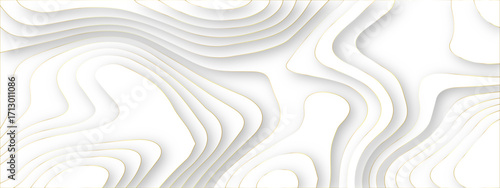 Dynamic topographic design elements forming soft flowing contours. white paper cut abstract layers. contemporary abstract shapes forming seamless layered topographic designs.	