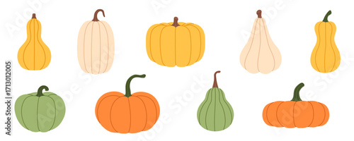 Collection of colorful pumpkins and gourds in flat illustration. Fall Vector Set. For Halloween, Thanksgiving, pattern, banner, packaging, card, autumn, harvest, seasonal, kids design. Hand drawn.