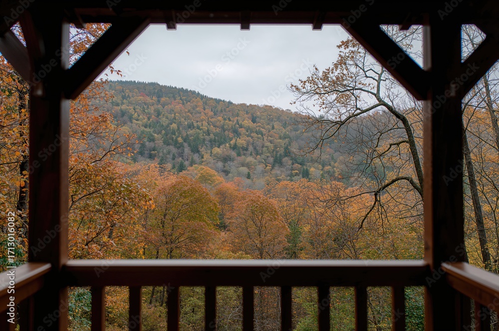 Fototapeta premium View through a rustic wooden pavilion into a vibrant autumn forest with rolling hills.