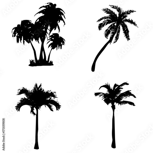 Árboles