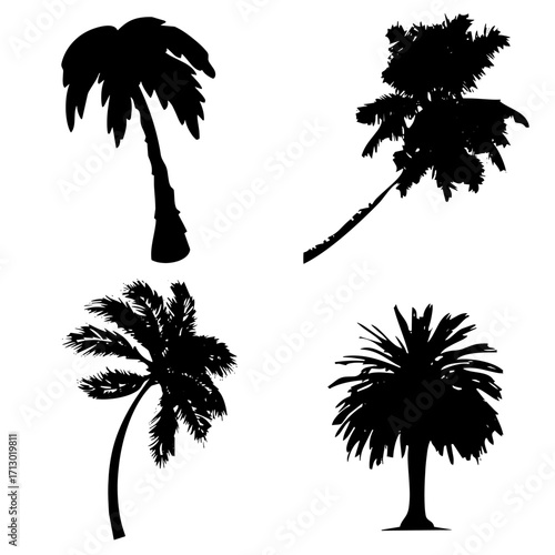 Árboles
