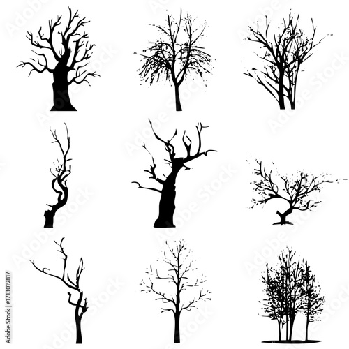 Árboles
