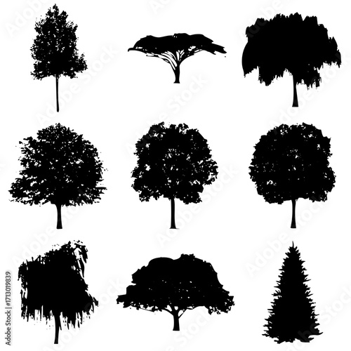 Árboles