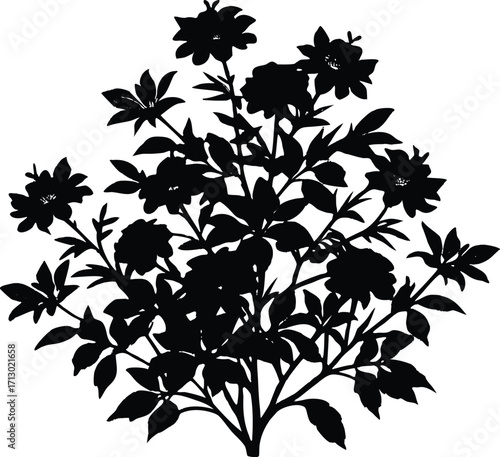 Flowering Shrub Silhouette | Shrub Flower Vector Design