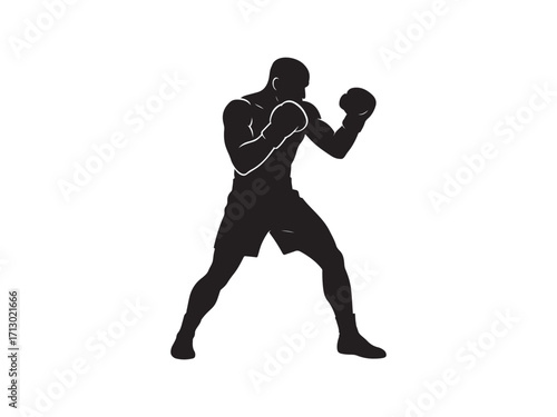Boxer vector  Silhouette