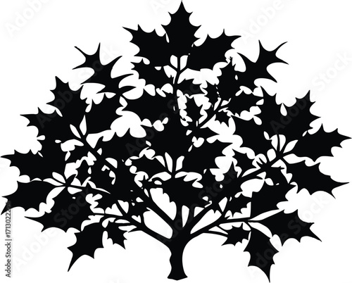 Holly Bush Silhouette | Holly Plant Vector Design