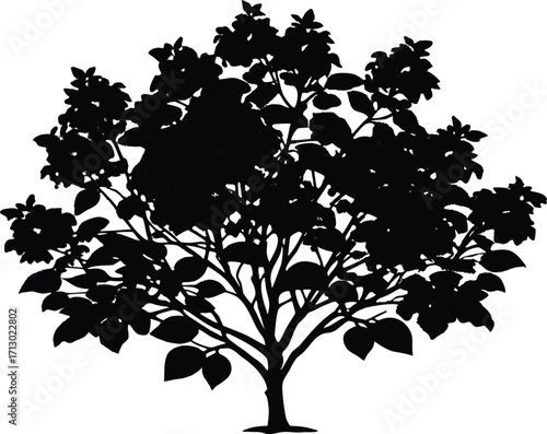 Lilac Bush Silhouette | Lilac Plant Vector Design