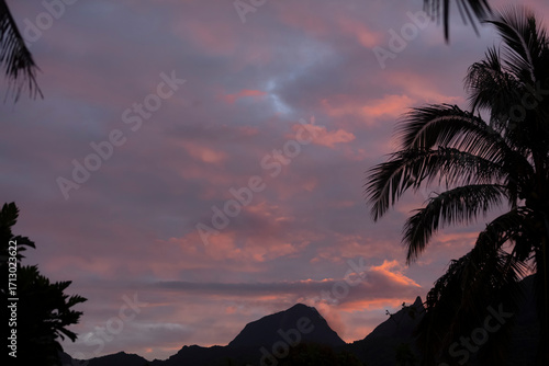 Wallpaper Mural coucher de soleil rose rouge à Moorea en Polynésie Torontodigital.ca