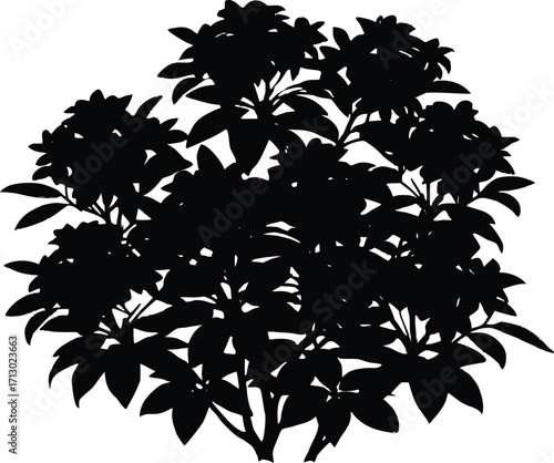 Rhododendron Bush Silhouette | Rhododendron Plant Vector Illustration
