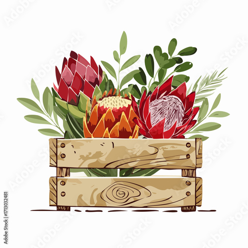 periwinkle watercolor mixed bouquet of protea leucadendron dusty miller in wooden crate graphite sketch