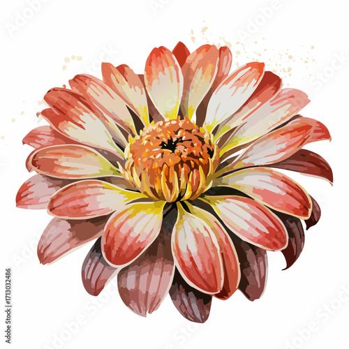 soft mauve watercolor chocolate daisy bloom fine cross-hatch graphite sketch for refined botanical art