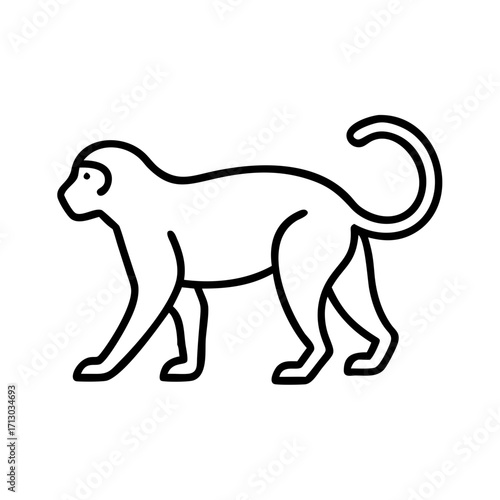 Monkey outline drawing vector illustration primate animal zoo wildlife jungle pet mammal tail art line