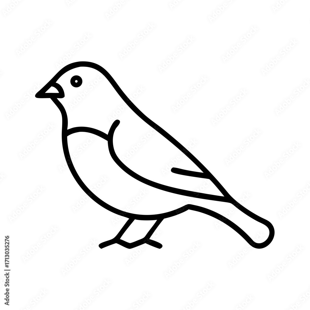 Fototapeta premium Illustration of a small bird outline drawing vector image for bird watching and nature designs