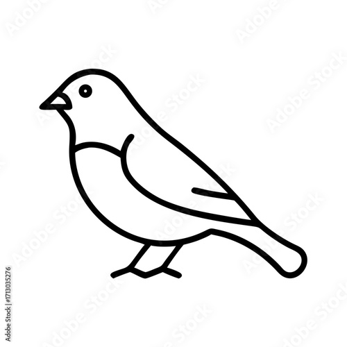 Illustration of a small bird outline drawing vector image for bird watching and nature designs