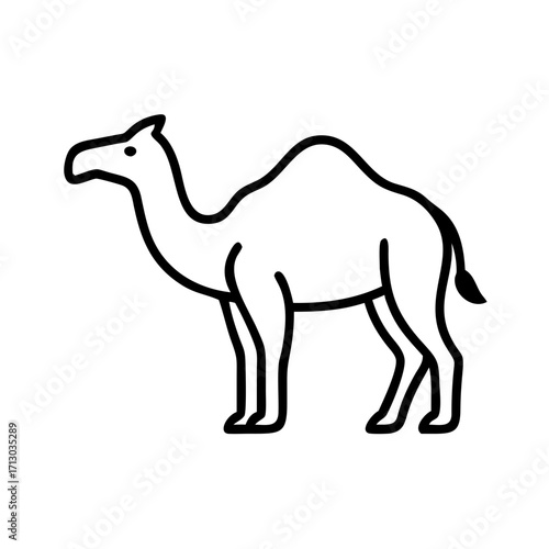 Camel outline drawing vector illustration desert animal graphic icon simple line art silhouette design mammal isolated