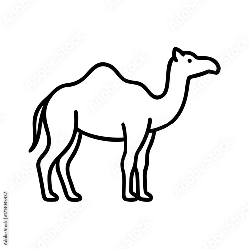 Camel outline drawing vector illustration desert animal travel africa middle east transportation 90
