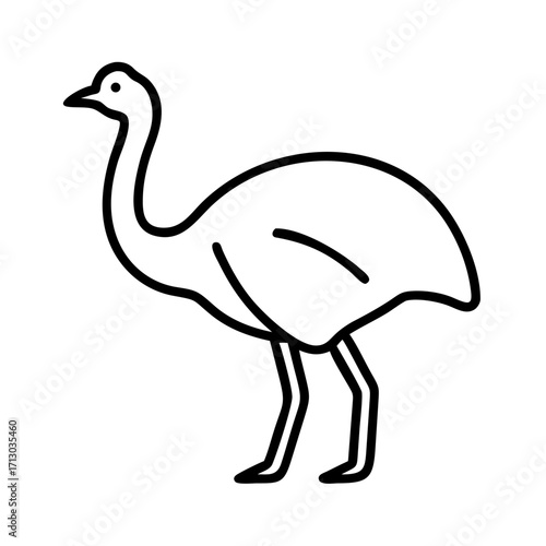 Vector outline drawing of an emu bird illustration for educational materials and coloring books