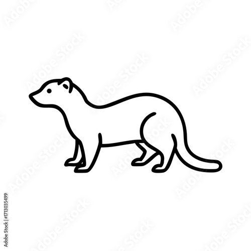 Ferret outline drawing vector illustration, stoat weasel mink polecat clip art, mammal animal icon