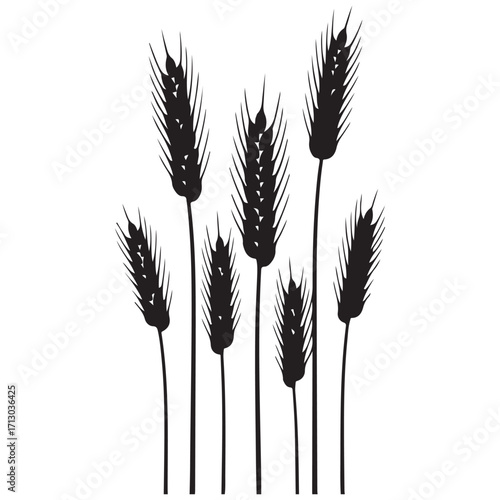 Elegant Black Wheat Stalks Silhouettes on a Crisp White Background