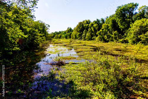 Kolb Ditch, Angel Mounds State Historic Site, Evansville, Indiana