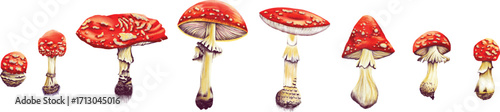 Vintage woodland nature seamless pattern. Amanita mushroom, fern, forest plants witchcraft wallpaper. Botanical texture. forest mushroom illustration on dark background. fly agaric and grebe.