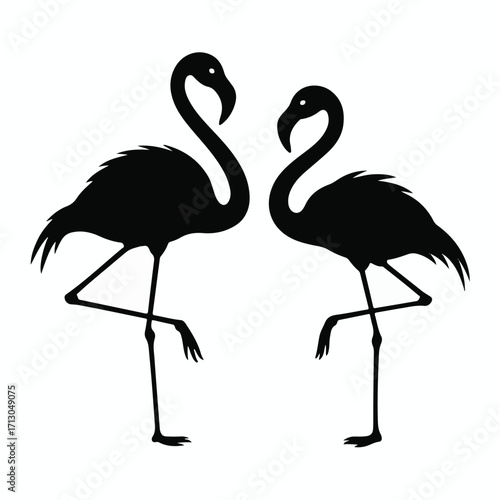 Standing Out Flamingo Silhouette