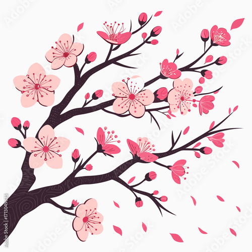 pink cherry blossom