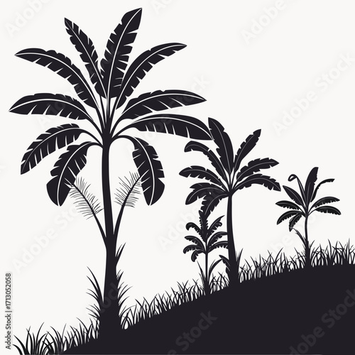 Banana tree silhouettes