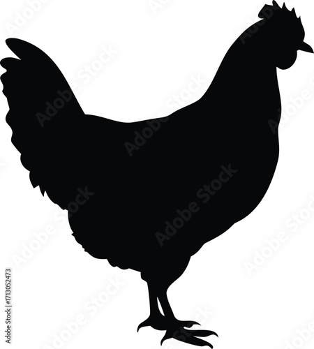 Chicken Silhouette Profile Standing Strong Farm Animal Poultry Design