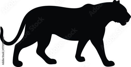 Black Panther Silhouette Stalking with Grace and Power in the Shadows