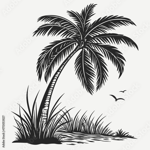palm tree silhouette