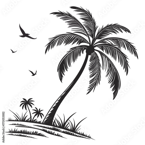 palm tree silhouette