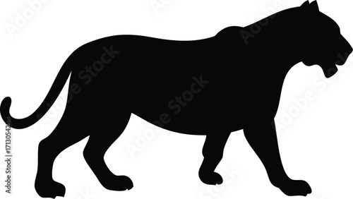 Silhouette of a Black Panther Walking Gracefully and Showing Its Elegant Body