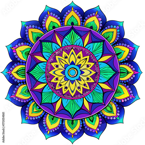 Vibrant colorful mandala design with intricate petal patterns isolated on white background silhouette