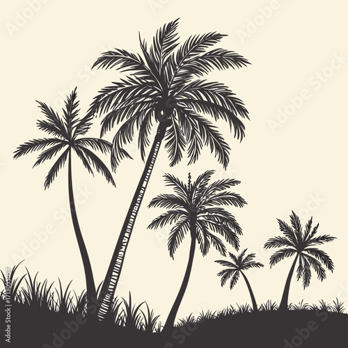 palm trees silhouette