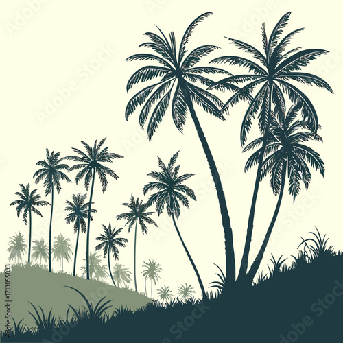 palm trees on the beach