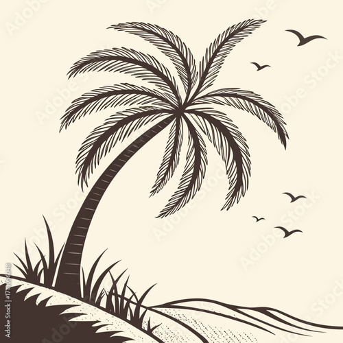 palm tree silhouette