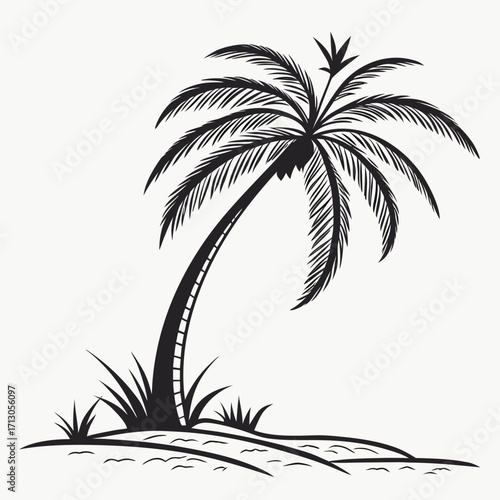 silhouette of palm tree