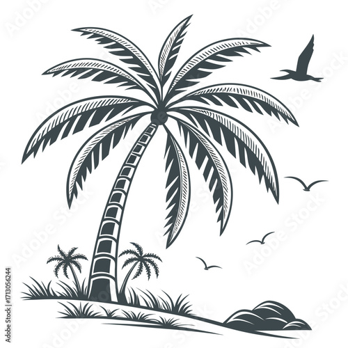vector illustration of palm trees
