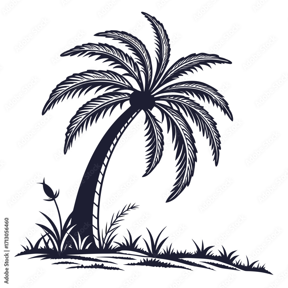 Fototapeta premium palm tree silhouette