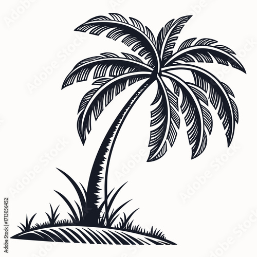 palm trees silhouettes