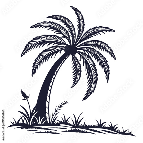 palm tree silhouette