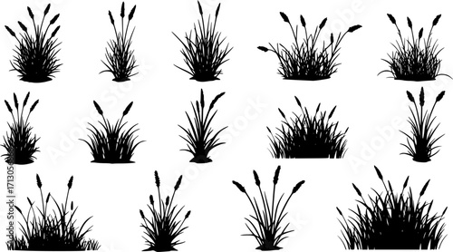 Grass silhouette vector Grass icon vector

